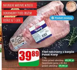 Dino Filet nacinany z karpia Polski Karp oferta