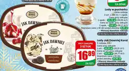 Dino Lody Jak Dawniej Koral 3 rodzaje Bracia Koral oferta