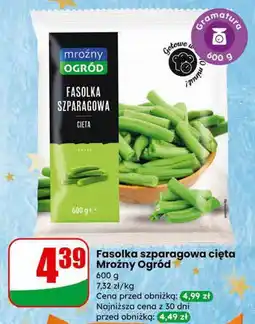 Dino Fasolka szparagowa cięta Mroźny Ogród oferta