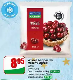 Dino Wiśnie bez pestek Mroźny Ogród oferta
