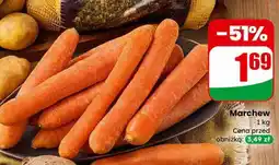 Dino Marchew Dino oferta