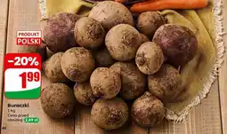 Dino Buraczki Dino oferta