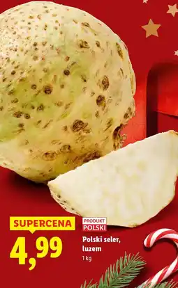 Lidl Warzywa polski seler, luzem 1 kg Lidl oferta