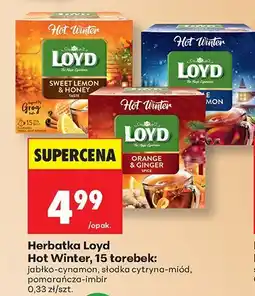 Biedronka Herbatka Loyd Hot Winter jabłko-cynamon oferta