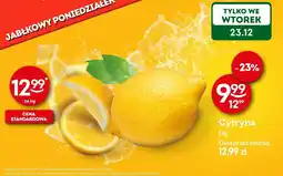 Żabka Cytryna Żabka oferta