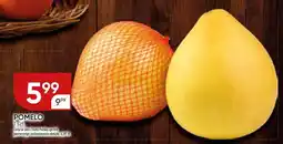 Chata Polska Pomelo Chata Polska oferta