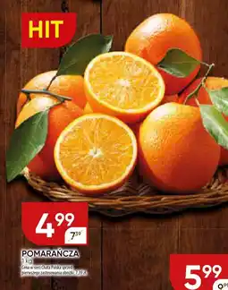 Chata Polska Pomarańcza Chata Polska oferta