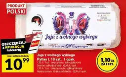 Twój Market Jaja z wolnego wybiegu Pytlas L 10 szt., 1 opak oferta