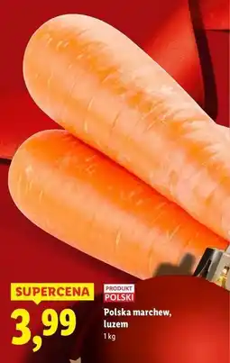 Lidl Marchew oferta