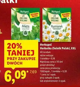 Lidl Herbatka rumianek Herbapol Zielnik Polski oferta