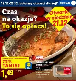 Lidl Polski świeży karp, płat ze skórą 100g oferta