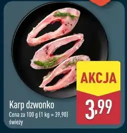 ALDI Karp Dzwonko oferta