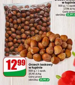 Dino Orzech laskowy w łupinie oferta