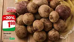 Dino Buraczki (1 kg) oferta