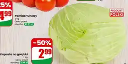 Dino Kapusta na gołąbki oferta