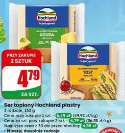 Dino Ser topiony Hochland plastry 130 g oferta