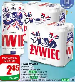 Dino Piwo Żywiec oferta