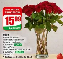 Dino Róże (bukiet) oferta