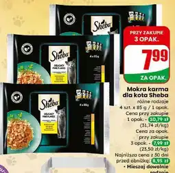 Dino Mokra karma dla kota Sheba oferta