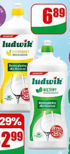 Dino Ludwik Płyn do mycia naczyń (cytrynowy, miętowy) oferta
