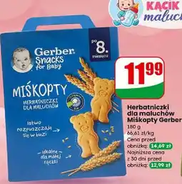 Dino Herbatniczki miśkopty Gerber Junior oferta