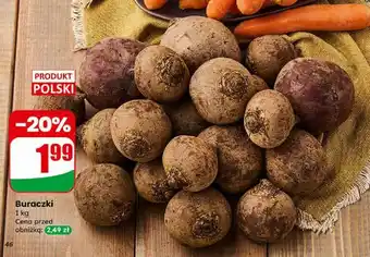 Dino Buraki oferta