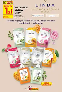 Biedronka LINDA Mydło w płynie Mango (wkład) oferta