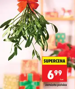 Biedronka Jemioła polska oferta