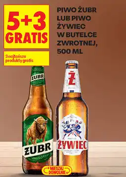 Biedronka Piwo Żubr lub piwo Żywiec w butelce zwrotnej oferta