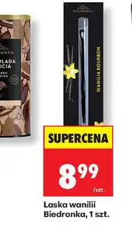 Biedronka Laska wanilii Biedronka, 1 szt oferta