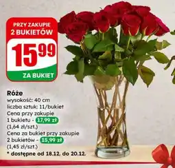 Dino Bukiet róż oferta