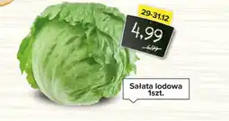 Spiżarnia Smakosza Sałata lodowa oferta