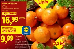 Lidl Mandarynki K! oferta