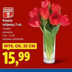 Lidl Bukiet tulipanów Polskie kwiaty oferta