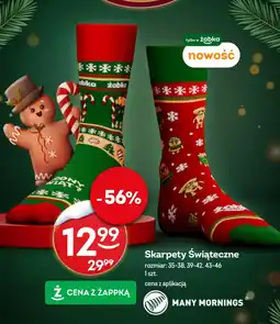 Żabka Skarpety Żabka oferta