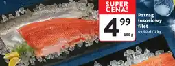 Intermarche Pstrąg łososiowy filet oferta