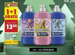 Biedronka Płyn do płukania Coccolino oferta