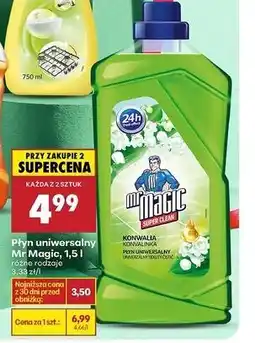Biedronka Płyn uniwersalny Mr Magic oferta