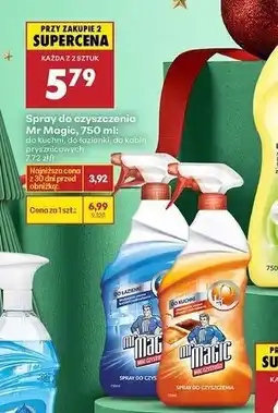 Biedronka Sprawy do czyszczenia Mr Magic, 750 ml oferta