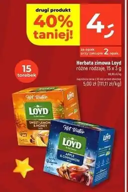Dealz Herbata zimowa Lody oferta
