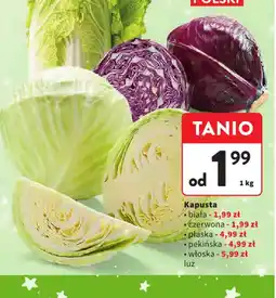 Intermarche Kapusta oferta