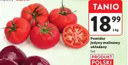 Intermarche Pomidor malinowy oferta