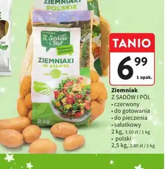 Intermarche Ziemniak Z Sadów i Pól oferta