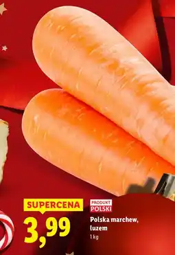 Lidl Polska marchew, luzem 1 kg Lidl oferta