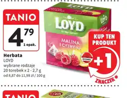 Intermarche LOYD Herbata oferta