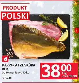 Selgros Karp Ok oferta