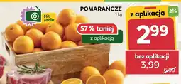 Stokrotka Pomarańcza Hit oferta