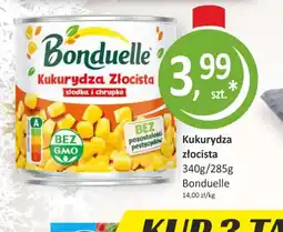 Passa Kukurydza złocista Bonduelle oferta