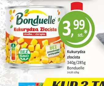 Kukurydza złocista Bonduelle