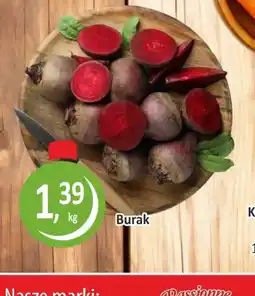 Passa Burak oferta